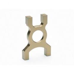 Soporte central de diferencial de aluminio para Maverick Quantum plus - Quantum R MV150278