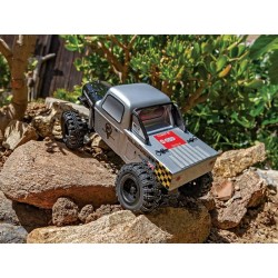 Element RC Enduro24 Ecto RTR Trail Truck AE20183