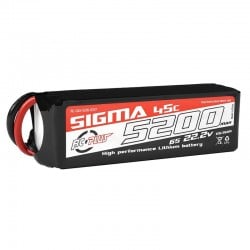 Batería Lipo 6S 22.2V 5200mAh 45C XT60 RC Plus Sigma RC-G45-5200-6S1P