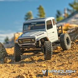 Vanquish VS4-10 Phoenix RTR gris VPS09011B