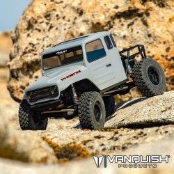 Vanquish VS4-10 Phoenix RTR gris VPS09011B