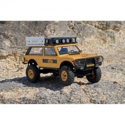 FMS 1:24 FCX24M Range Rover Trophy Edition RTR FMS12481RTR-YL