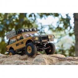 FMS 1:24 FCX24M Range Rover Trophy Edition RTR FMS12481RTR-YL