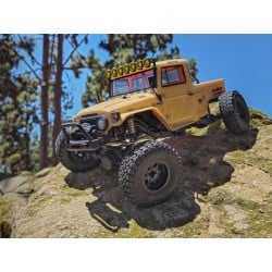 Element RC Enduro Trail Truck Zuul Tan RTR AE40124