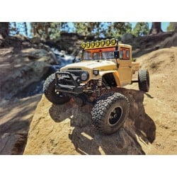 Element RC Enduro Trail Truck Zuul Tan RTR AE40124